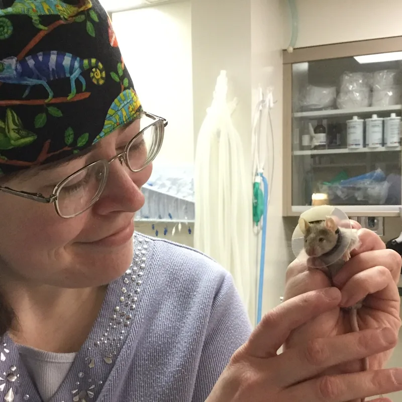 Dr. Eckert Dr. Eckert