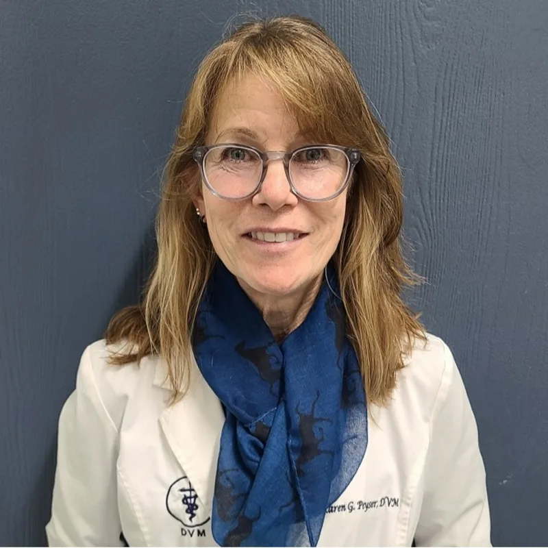 Dr. Karen Peyser at Channel Islands Veterinary Hospital / Las Posas Veterinary Medical Center Dr. Karen Peyser at Channel Islands Veterinary Hospital / Las Posas Veterinary Medical Center
