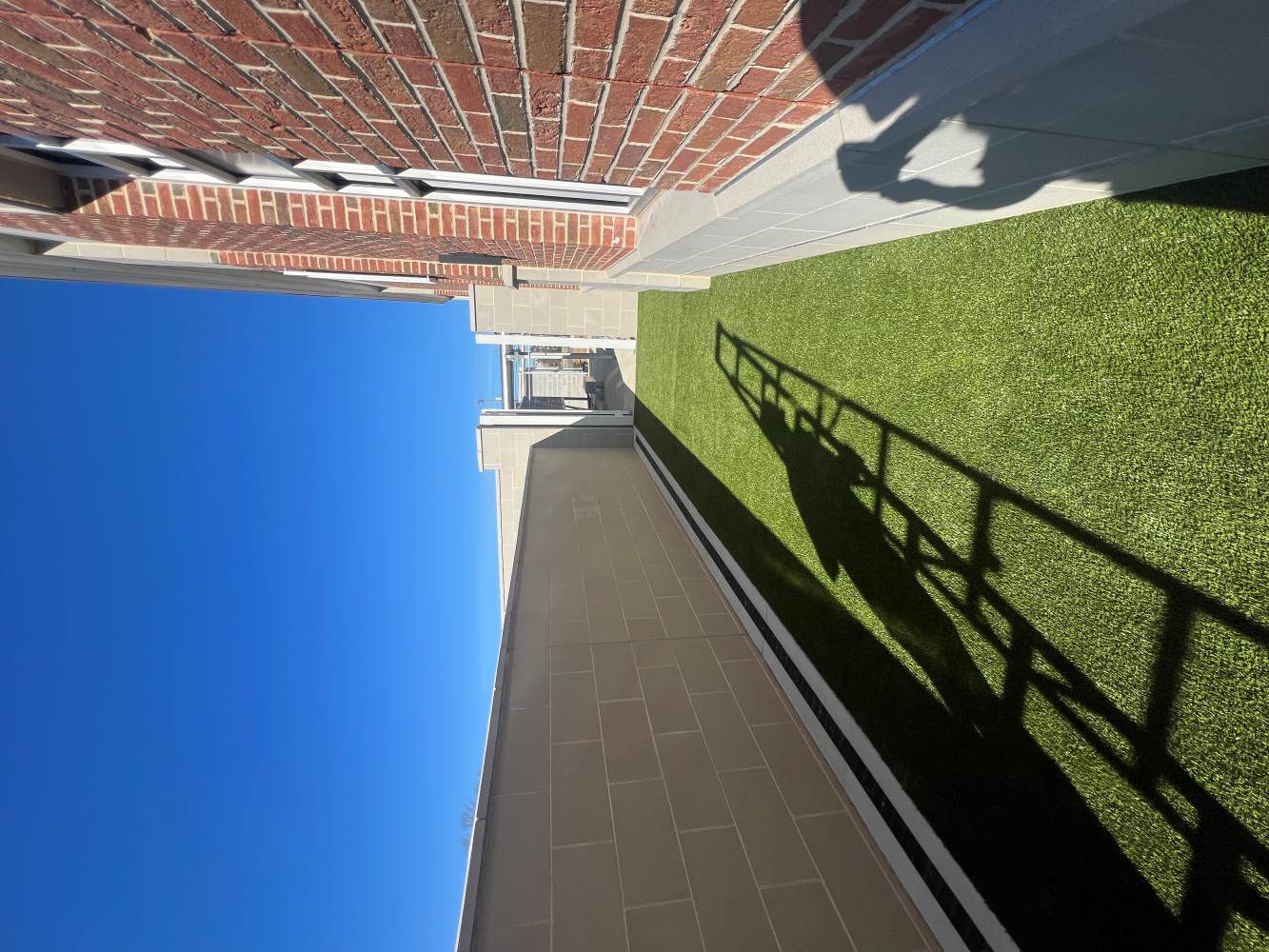 Virginia Veterinary Centers Grass Area