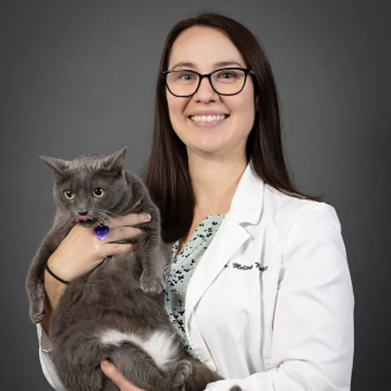 Dr. Melissa Mustillo Dr. Melissa Mustillo