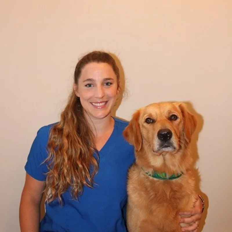 Dr. Sally Dry Dr. Sally Dry