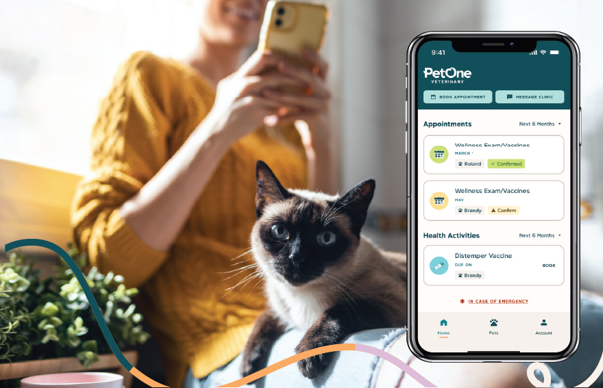 A cat looking at the camera, with the pet parent behind in the background. A screenshot of the PetOne Veterinary App is visible.
