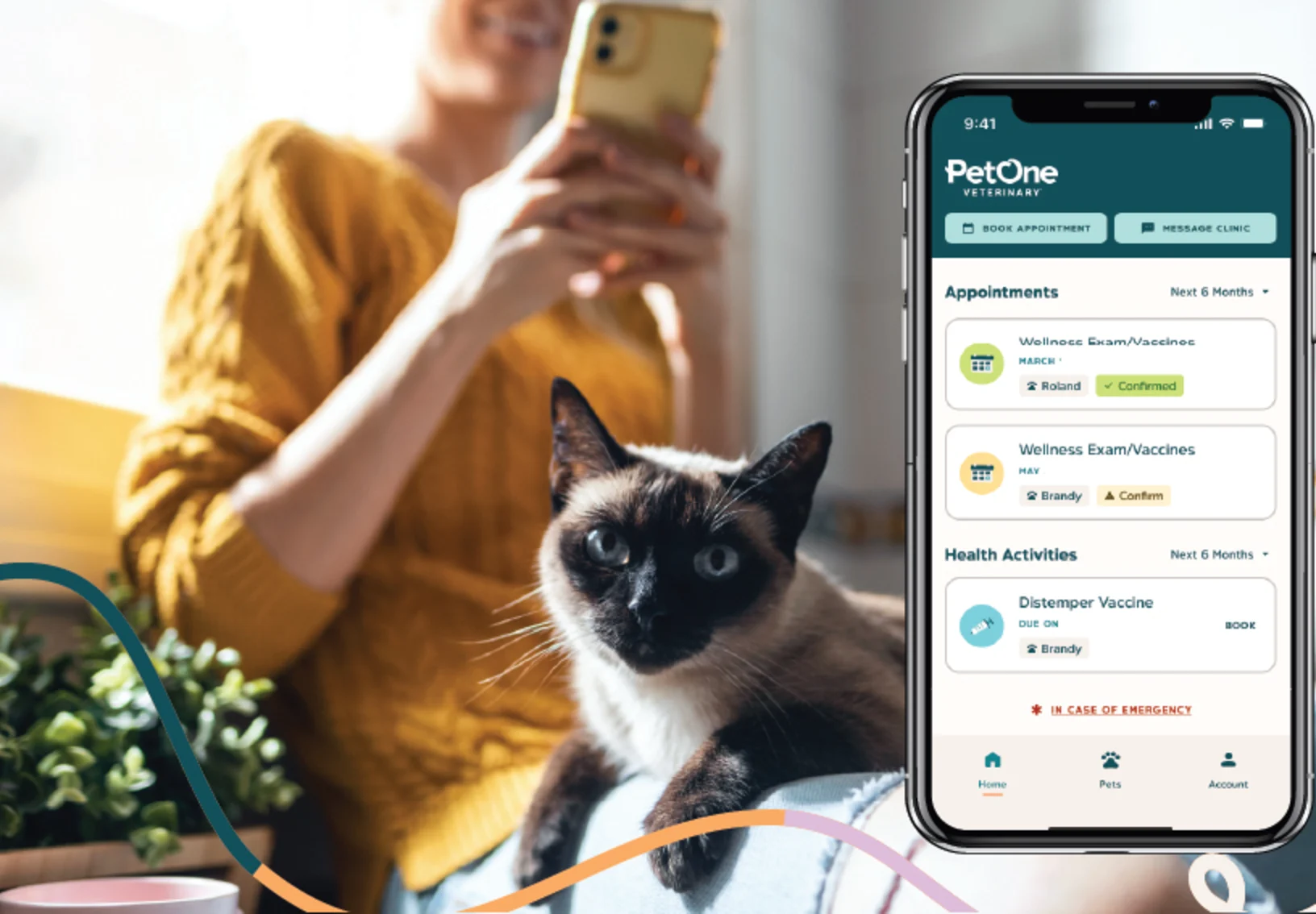 A cat looking at the camera, with the pet parent behind in the background. A screenshot of the PetOne Veterinary App is visible. A cat looking at the camera, with the pet parent behind in the background. A screenshot of the PetOne Veterinary App is visible.
