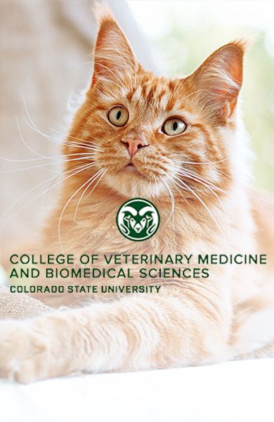 Colorado State University logo in front of cat