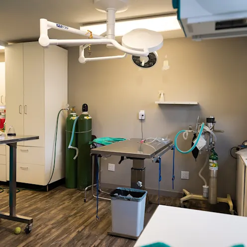 Operating Room at The Valley Veterinary Hospital Operating Room at The Valley Veterinary Hospital