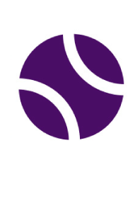 Purple ball icon