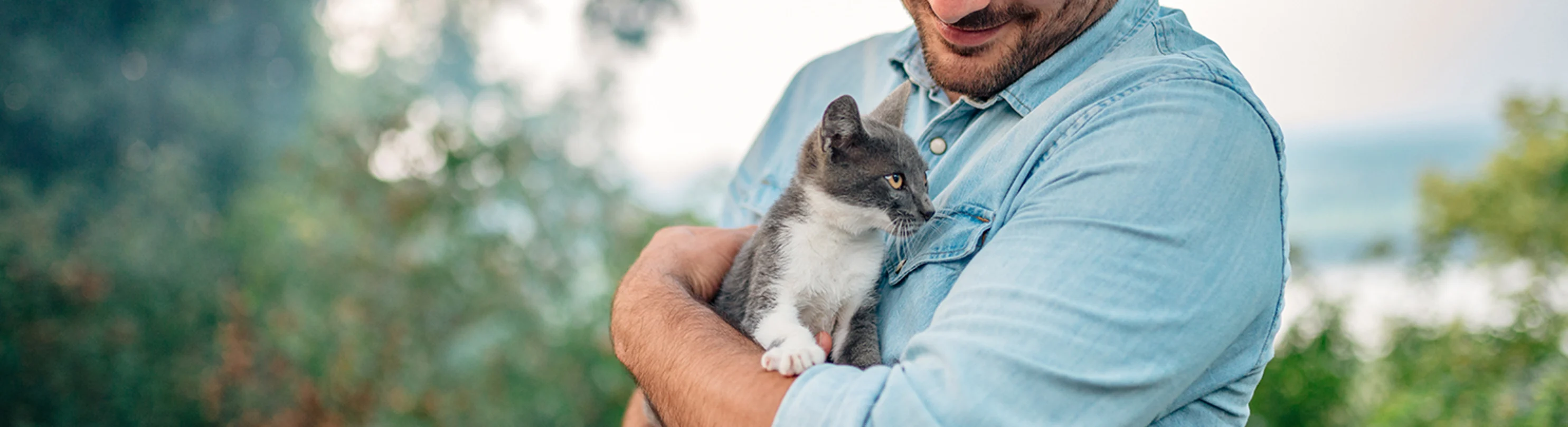 A person holding a kitten