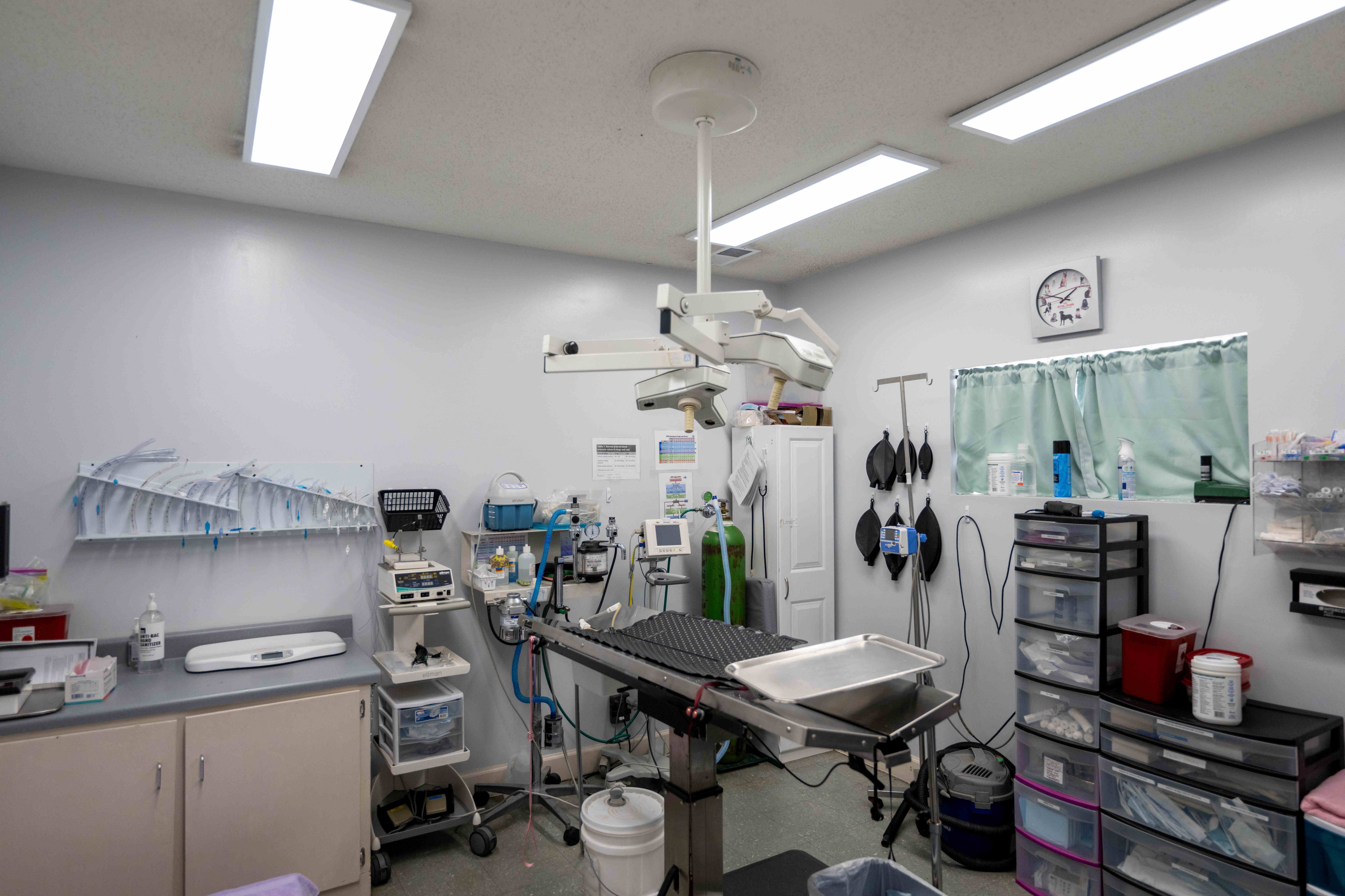 Surgery Suite at  Animal Medical Center - Tuscaloosa