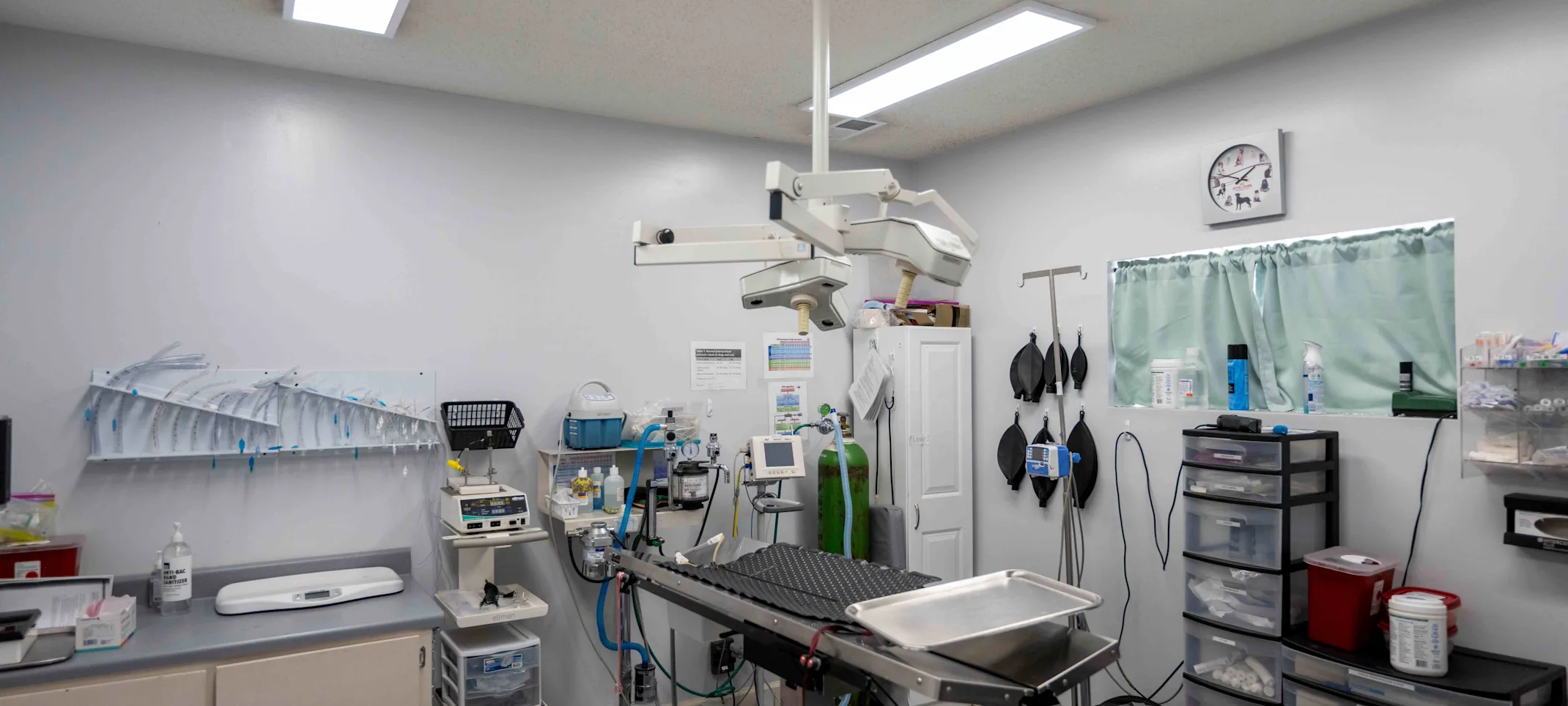 Surgery Suite at Animal Medical Center - Tuscaloosa Surgery Suite at Animal Medical Center - Tuscaloosa