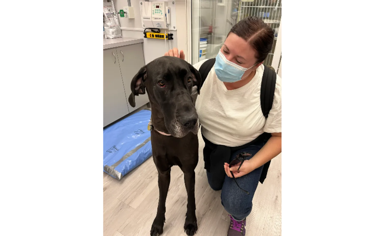 One Staff Member with Dog One Staff Member with Dog