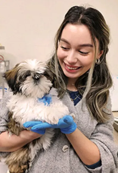 A staff member holding a puppy