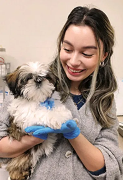 A staff member holding a puppy A staff member holding a puppy