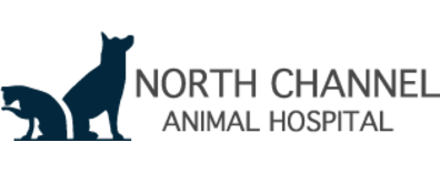 North Channel Animal Hospital Logo North Channel Animal Hospital Logo