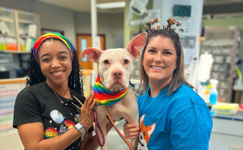 Staff members Martia and Brandie with a dog