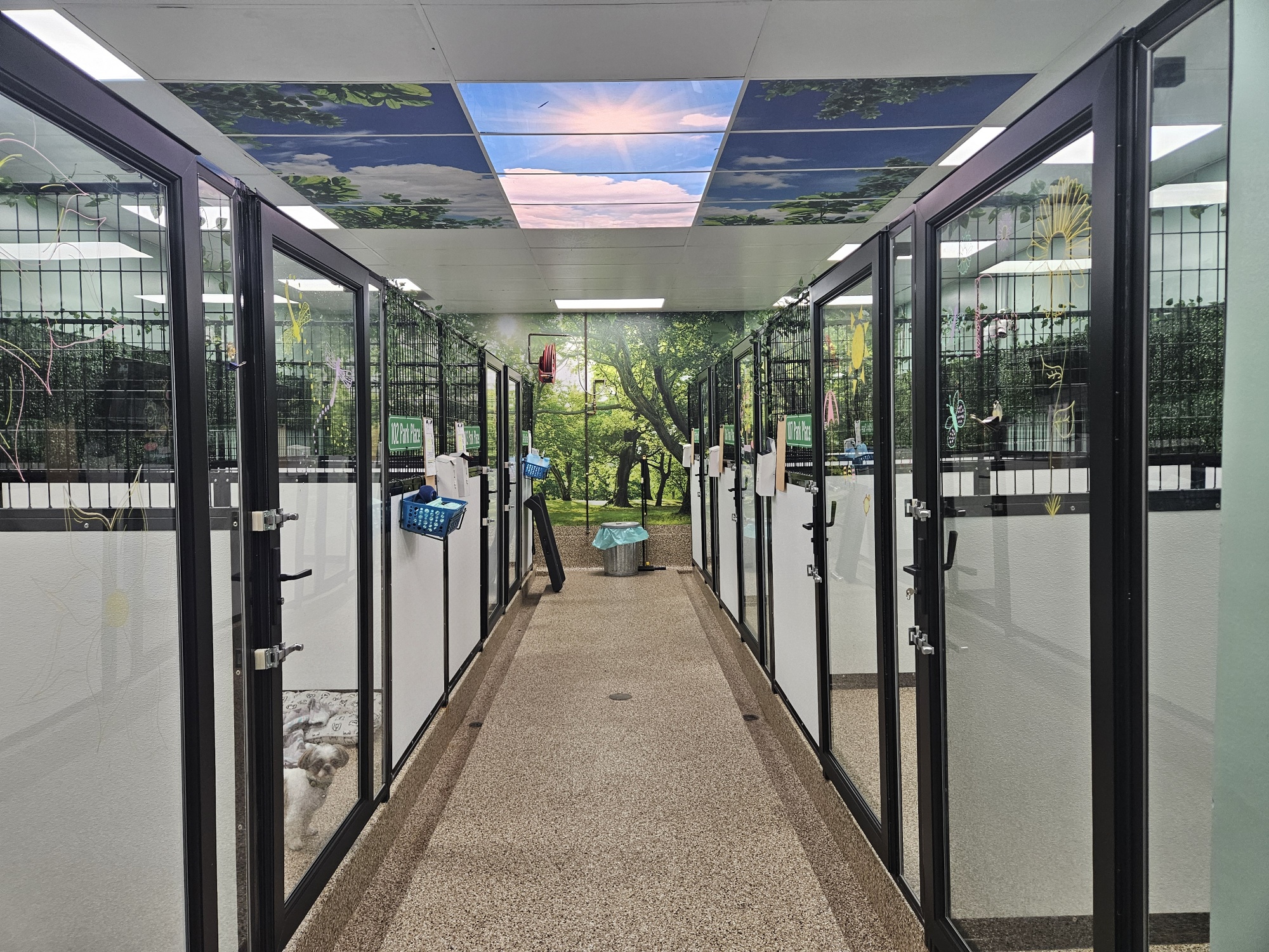 Park Place Kennel hallway