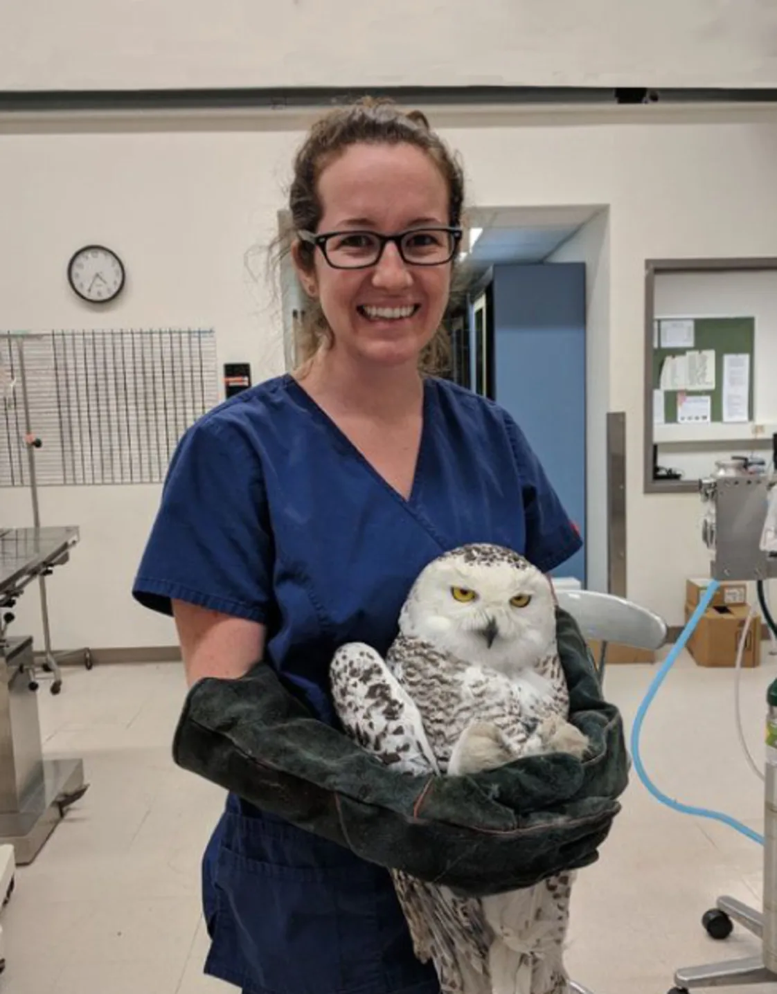 Dr. Ainsley Boyle at Hanover Park Animal Care Center Dr. Ainsley Boyle at Hanover Park Animal Care Center