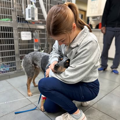 Dog Getting Hugs at AMC Hattiesburg