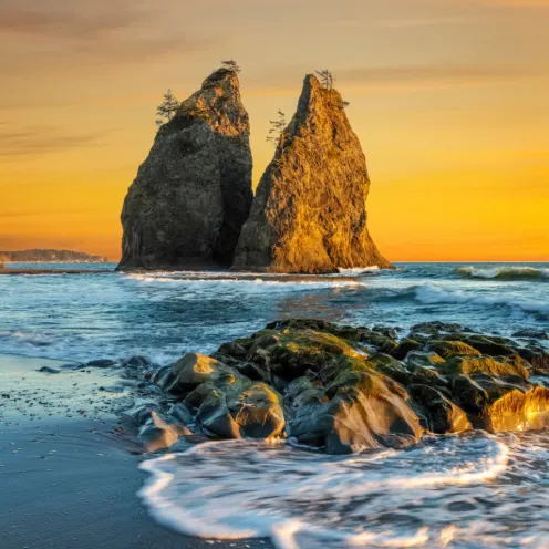 A photo of the coast of Washington State