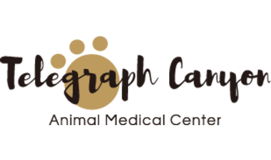 Telegraph Canyon Animal Medical Center-HeaderLogo