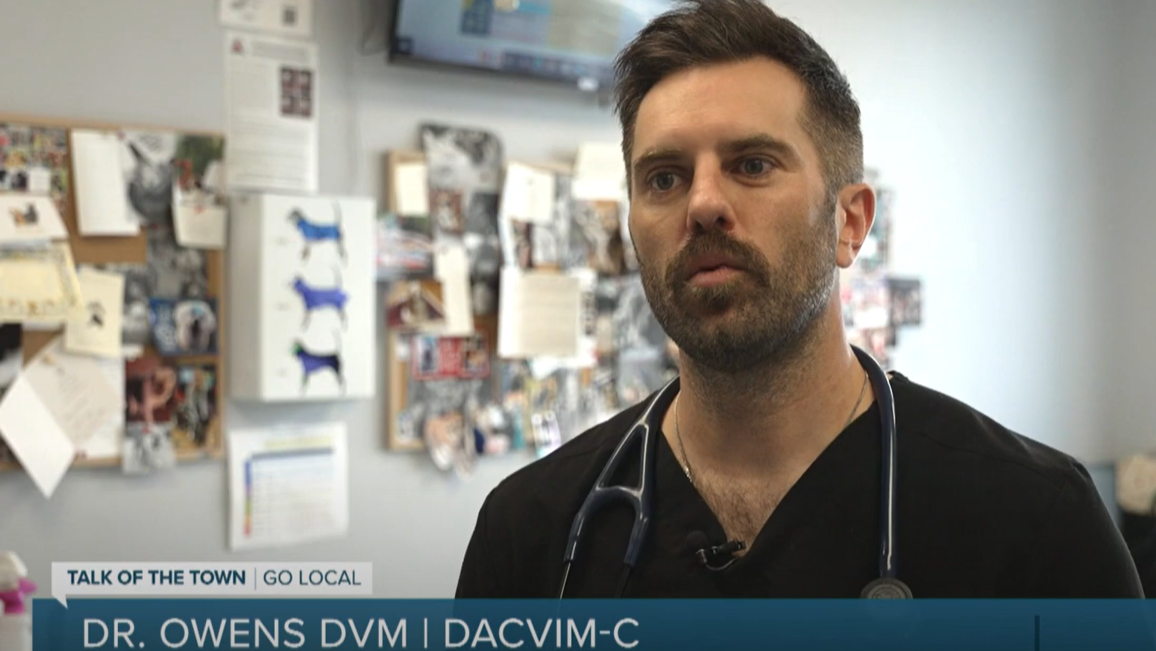 Dr. Owners talking to a reporter.