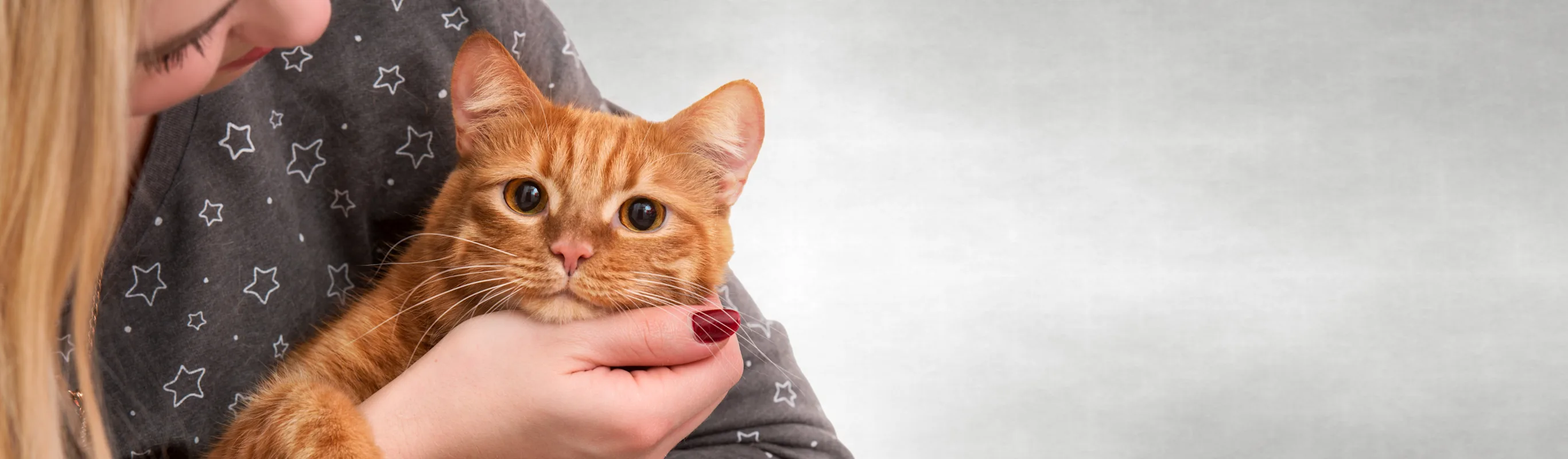 Woman holding a cat Woman holding a cat