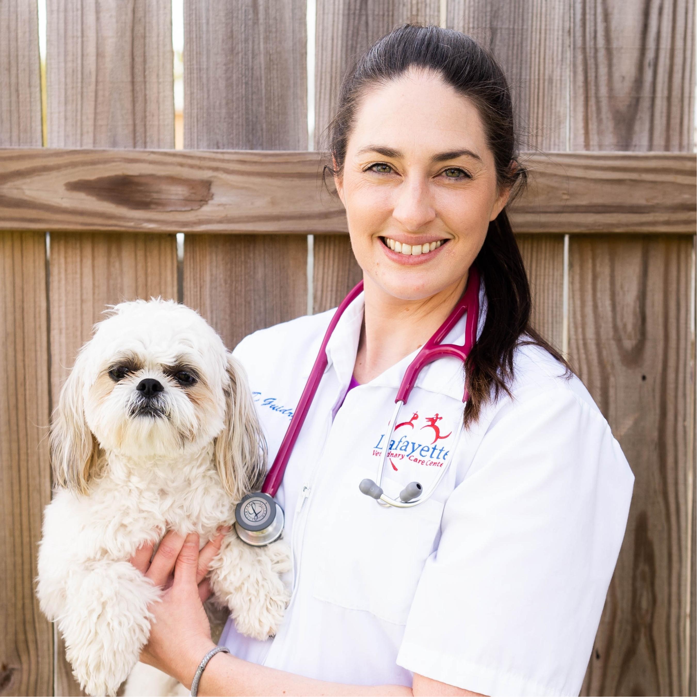 Homepage | Lafayette Veterinary Care Center