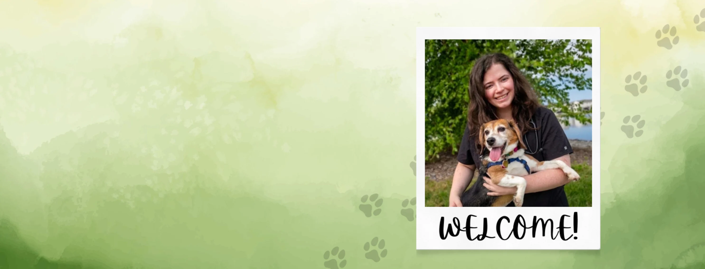 Dr. Britt Krinninger, DVM Dr. Britt Krinninger, DVM