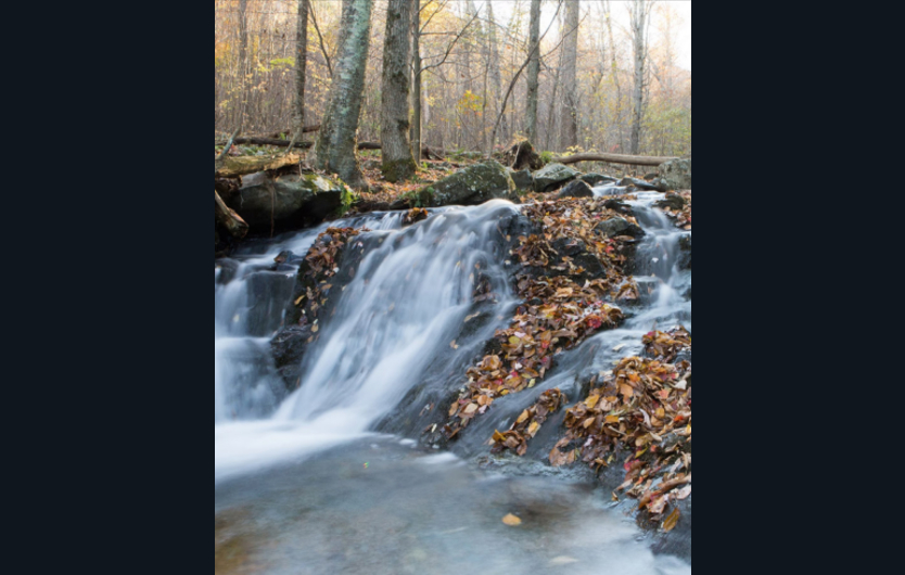 Outdoor trail with water streaming down