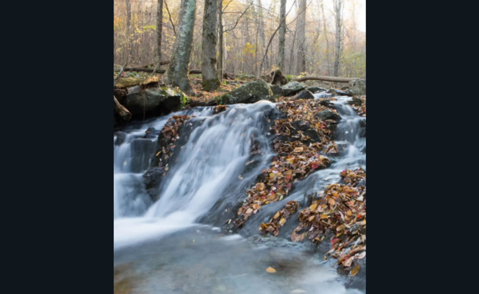 Outdoor trail with water streaming down Outdoor trail with water streaming down