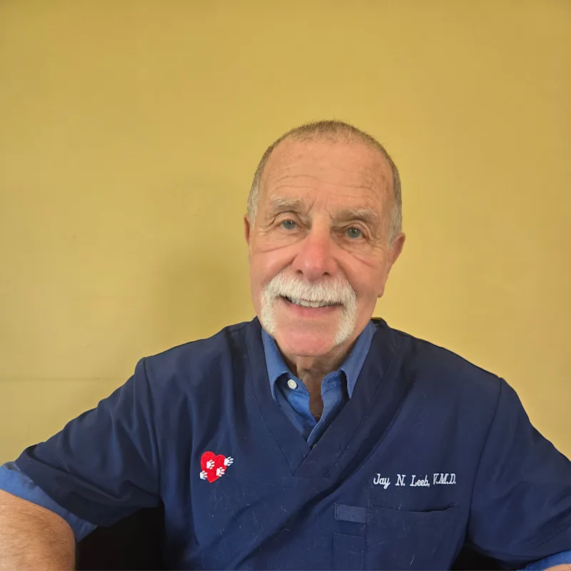Dr. Jay Leeb Dr. Jay Leeb