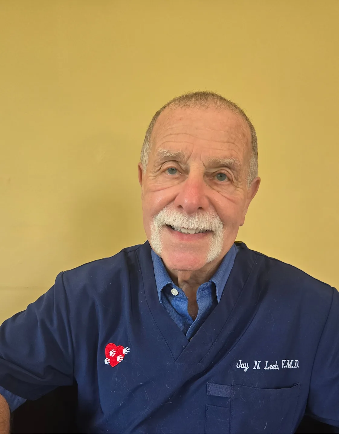 Dr. Jay Leeb Dr. Jay Leeb