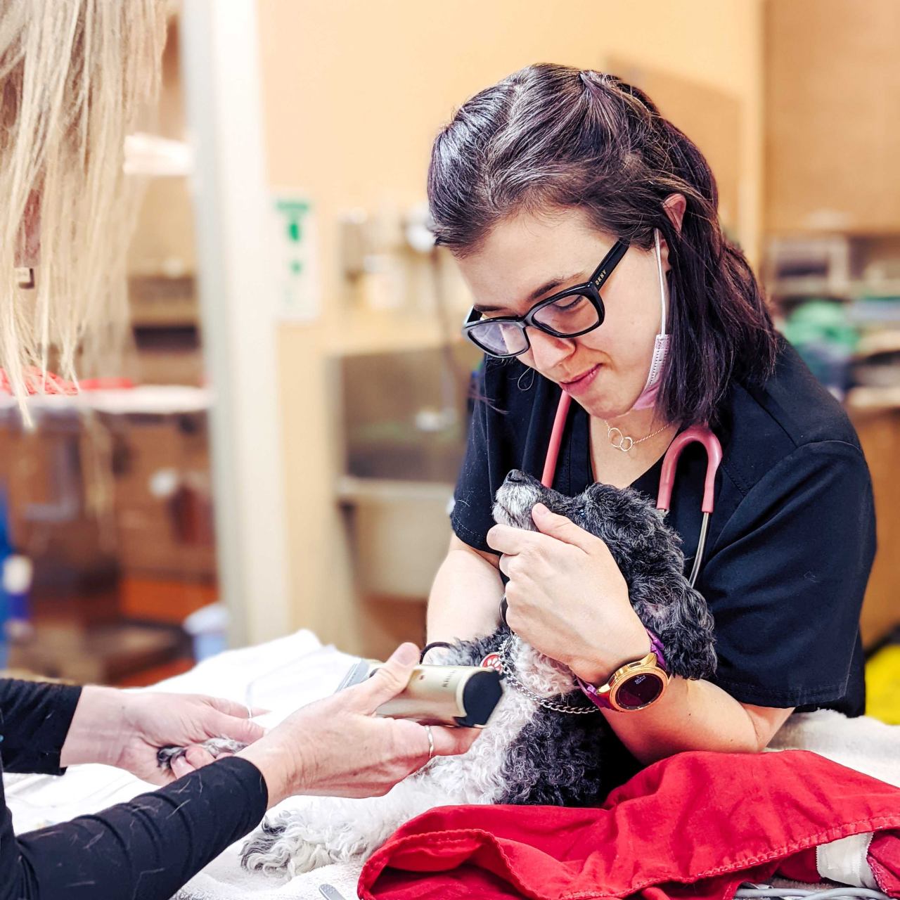 Woman wearing glasses and holding dog's head.