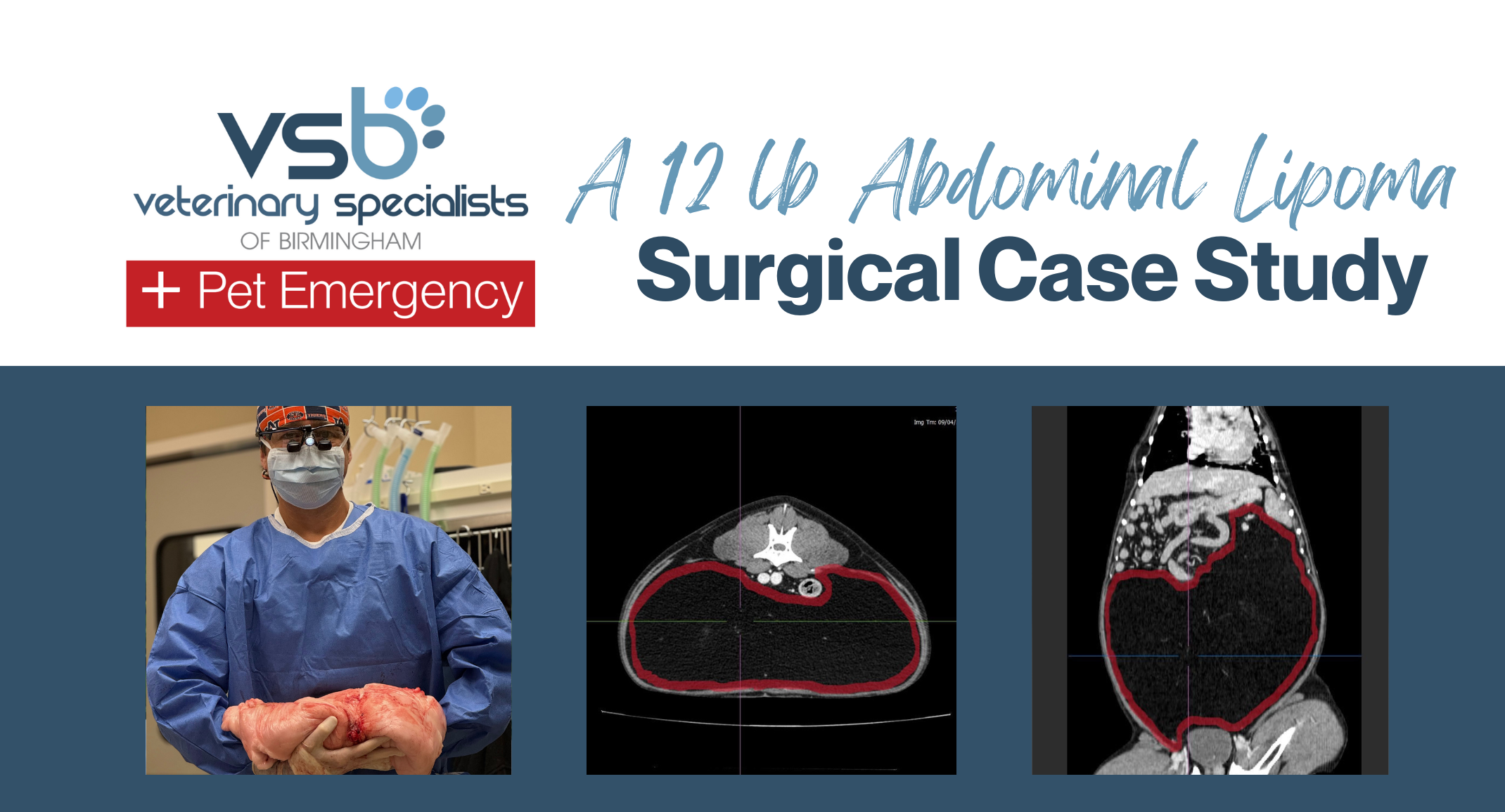 Abdominal lipoma surgery on a dog