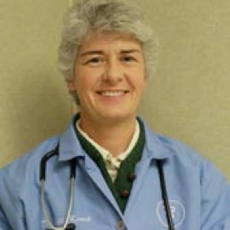 Dr. Jill Kemp, DVM in Village East Animal Hospital Dr. Jill Kemp, DVM in Village East Animal Hospital