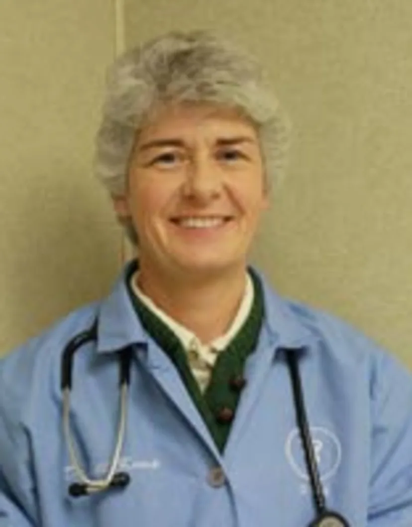 Dr. Jill Kemp, DVM in Village East Animal Hospital
