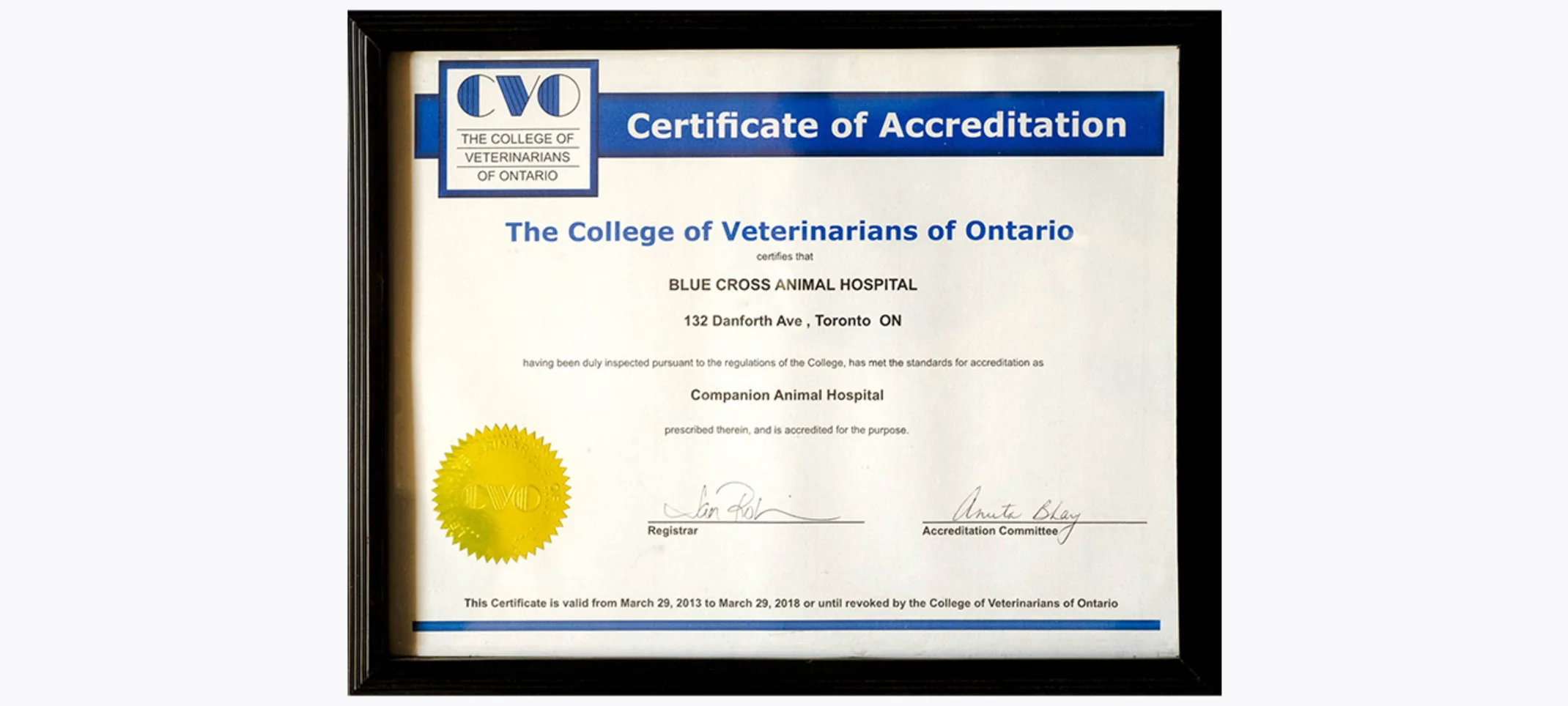 CVO Accreditation at Blue Cross Animal Hospital
