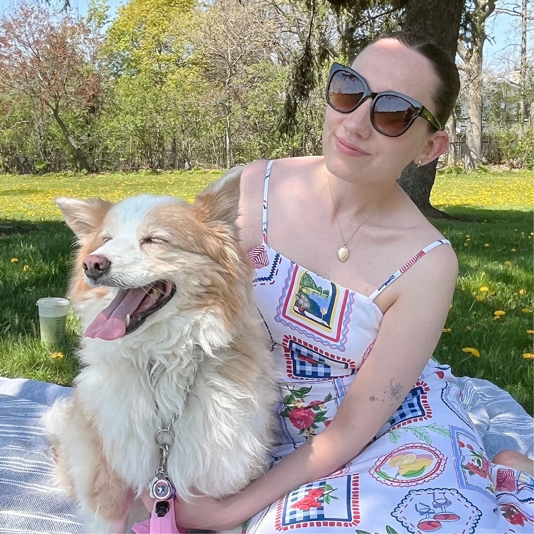 Stencil drawing of puppy