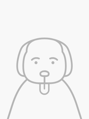 Stencil drawing of puppy