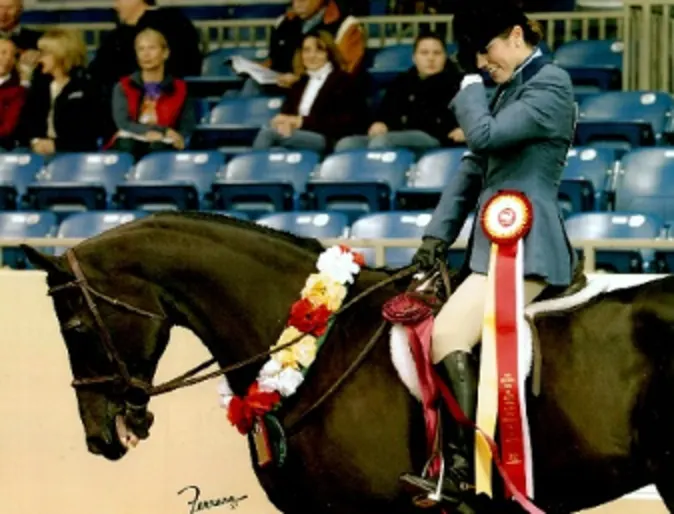 Photo of horse rider riding black horse Photo of horse rider riding black horse