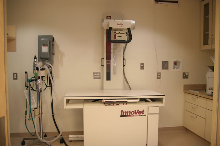 Montville Veterinary Group Radiology