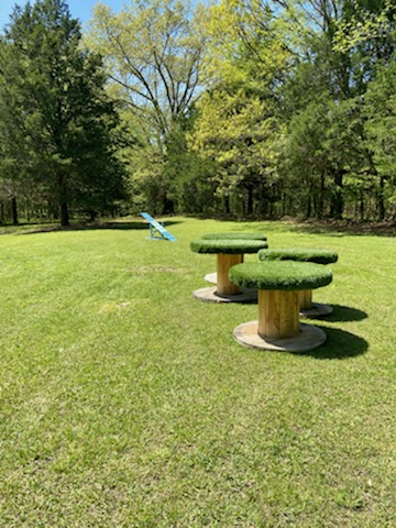 Elevated obstacle course for dogs.