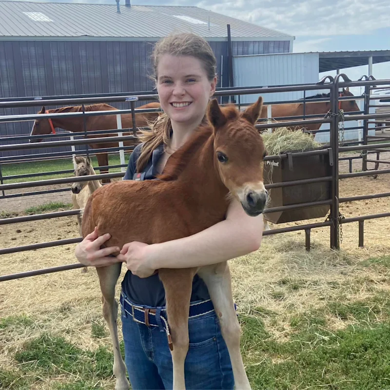 Sarah Brown Sarah Brown