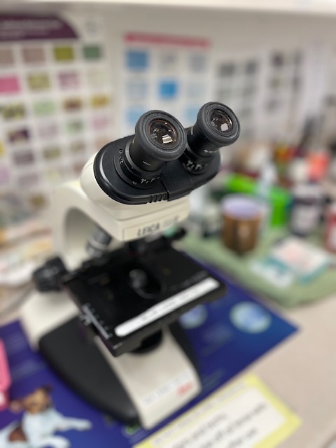 Our Diagnostic Equipment