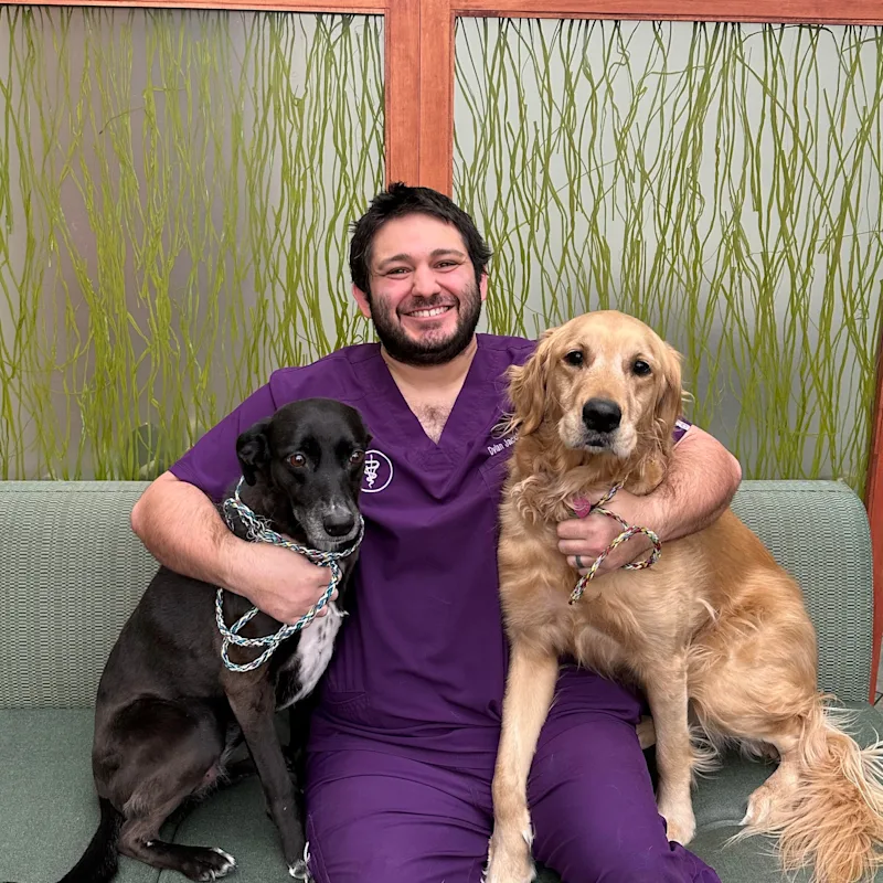 Dr. Dylan Jacobs Dr. Dylan Jacobs