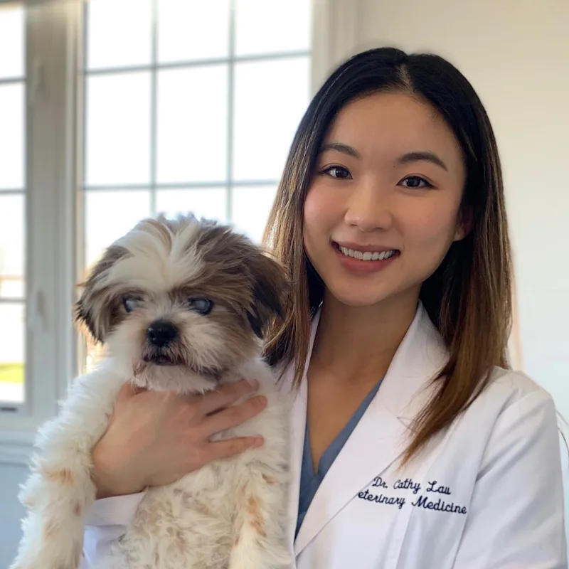 Dr. Cathy Lau Dr. Cathy Lau