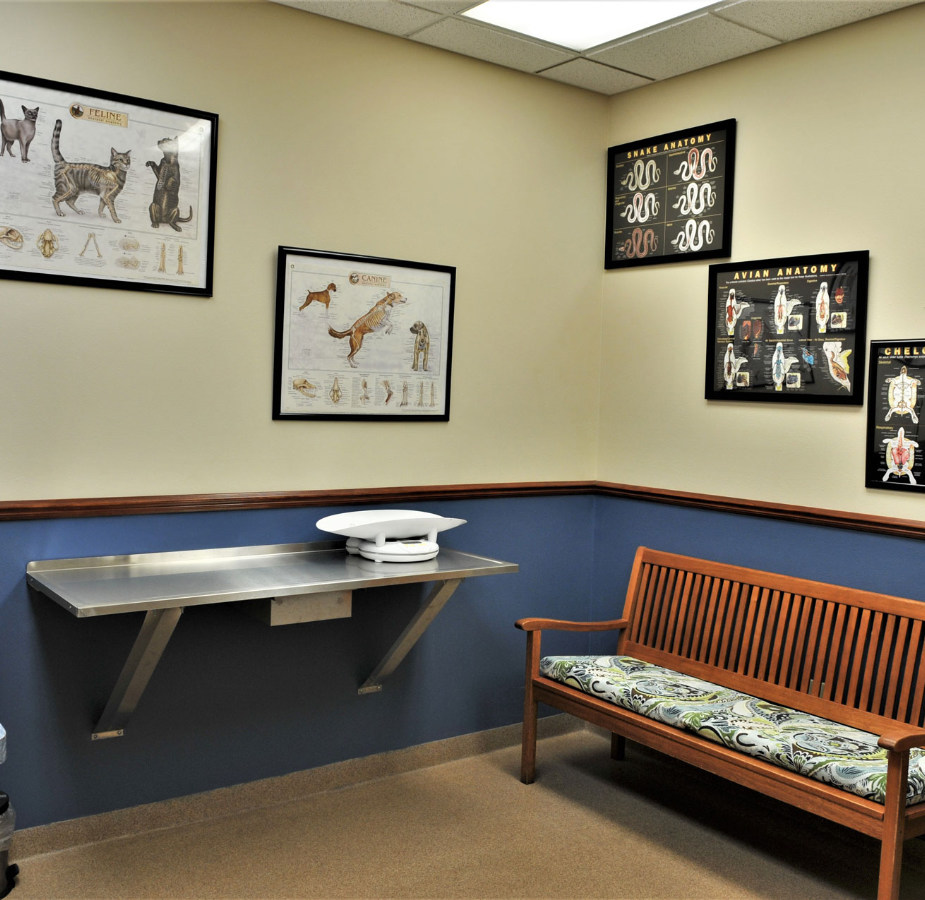 Tan and blue exam room