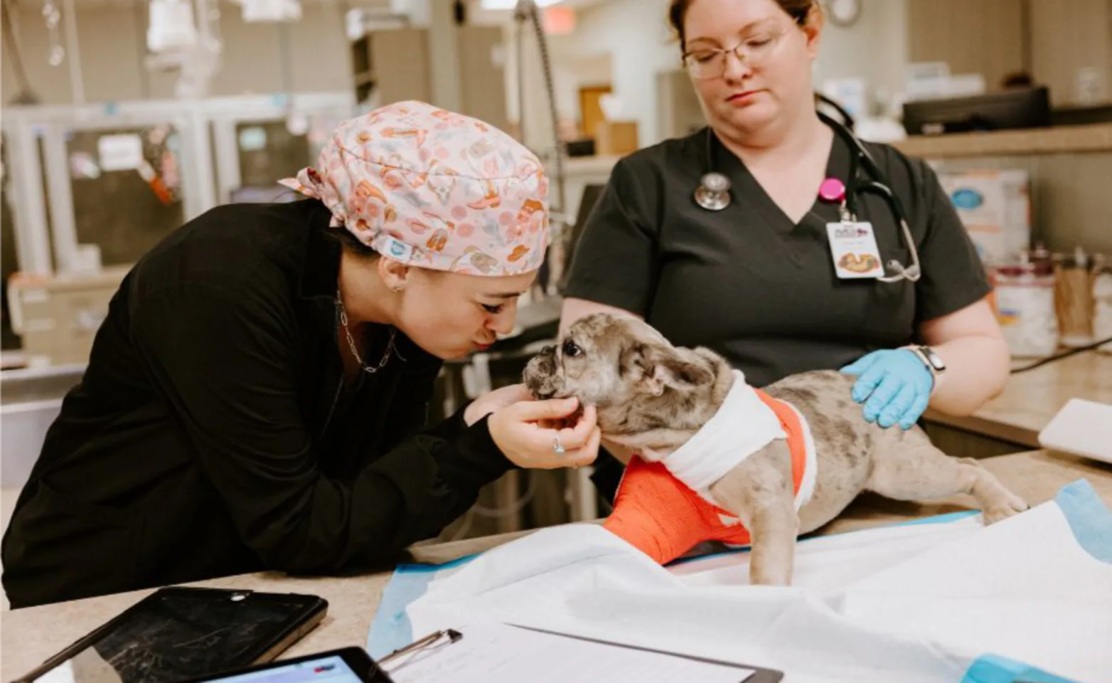 Two staff members with a bulldog Two staff members with a bulldog