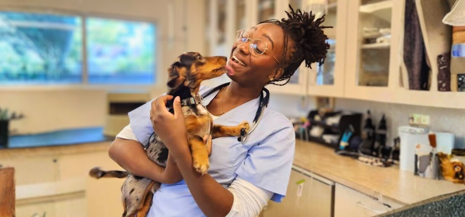 What growing with NVA can look like: Dr. Spence's journey from assistant to DVM