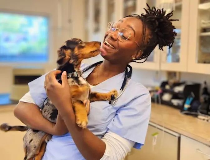 What growing with NVA can look like: Dr. Spence's journey from assistant to DVM What growing with NVA can look like: Dr. Spence's journey from assistant to DVM