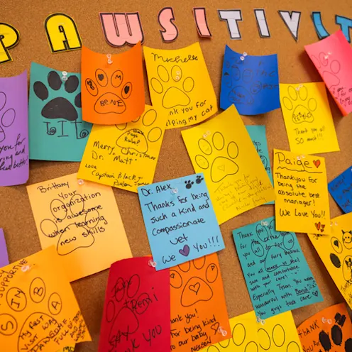 Pawsitivity Notes Pawsitivity Notes